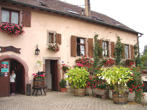 BERGHEIM - Chez Emile et Yvette HALBEISEN, viticulteurs - Photo BERTHEVILLE